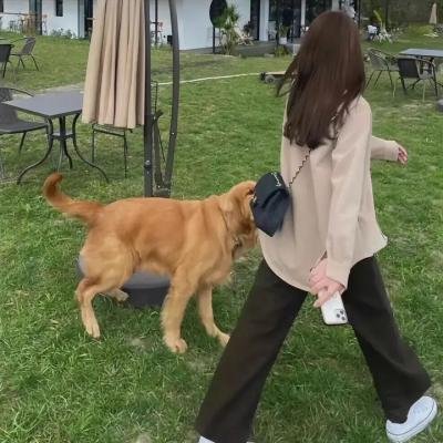 爱欲宝鉴