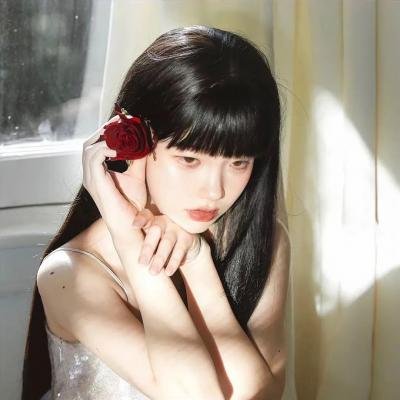 密探海芮:部落格大战